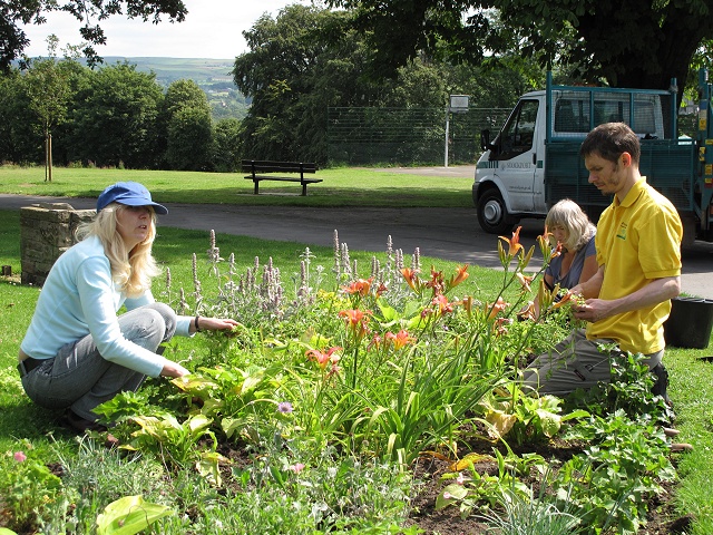 Friends of the Park working in their flowerbeds