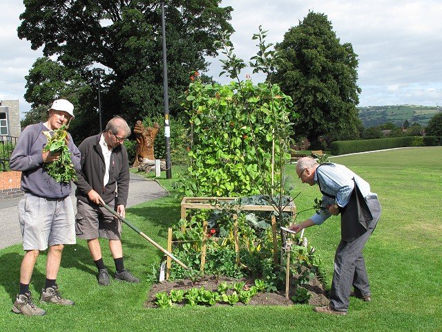 Marple Allotment Association