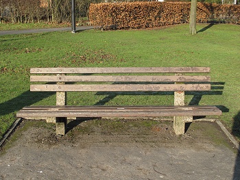 Bench 17 before