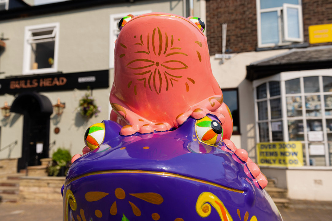 Canal Frog Rose is coming back to Marple