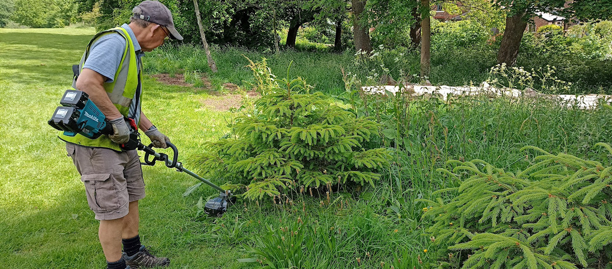 New cordless strimmer in action.