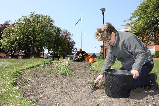 You can see how dry the beds are in this close-up - we need some rain!