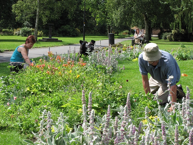 Friends of the Park working in their flowerbeds