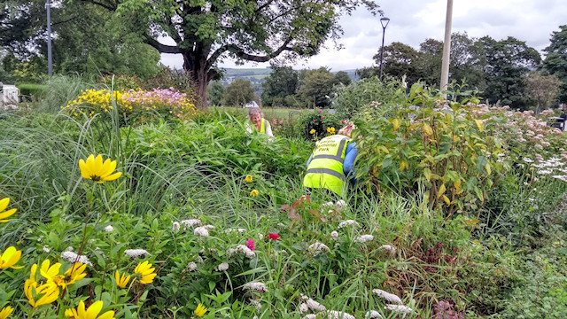 Friends of Marple Memorial Park