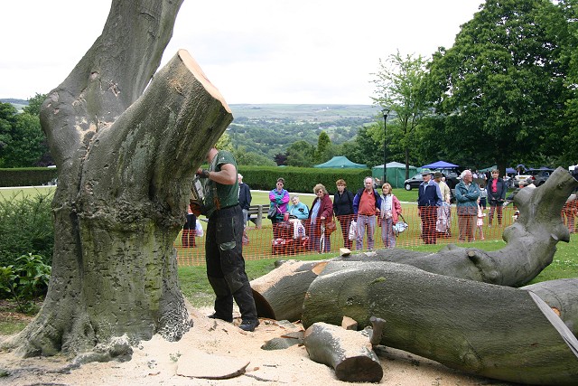Tree sculpture underway in the summer of 2007