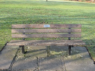 Bench dedicated to Ellen Greenfield before 