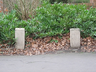 Concrete Stumps