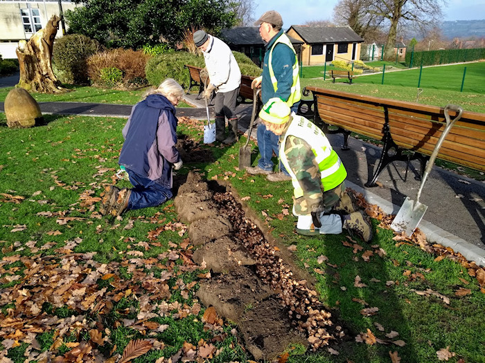 Planting Bulbs