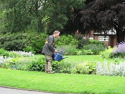 Flowerbeds