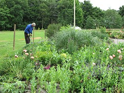 Memorial Beds