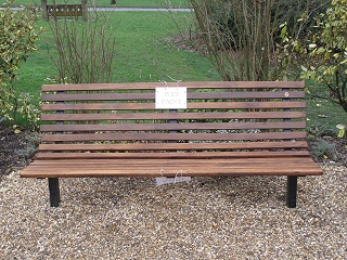 Sensory Garden Bench after