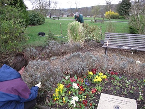 Sensory Garden tidy