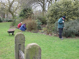 Shrub beds tidy