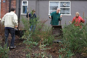 Mulching the beds