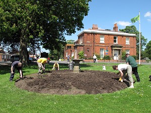 Beds cleared for summer planting.