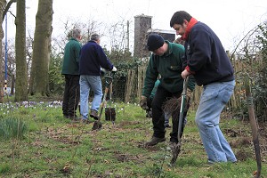 Planting whips