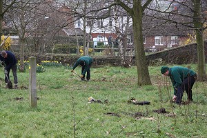 Planting near the old canal arm