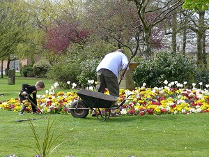 Weeding of beds