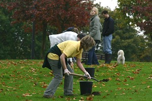 Planting alongside Garth Road