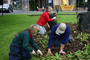 Flower beds cleared