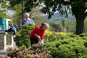 Shrubs coming out.